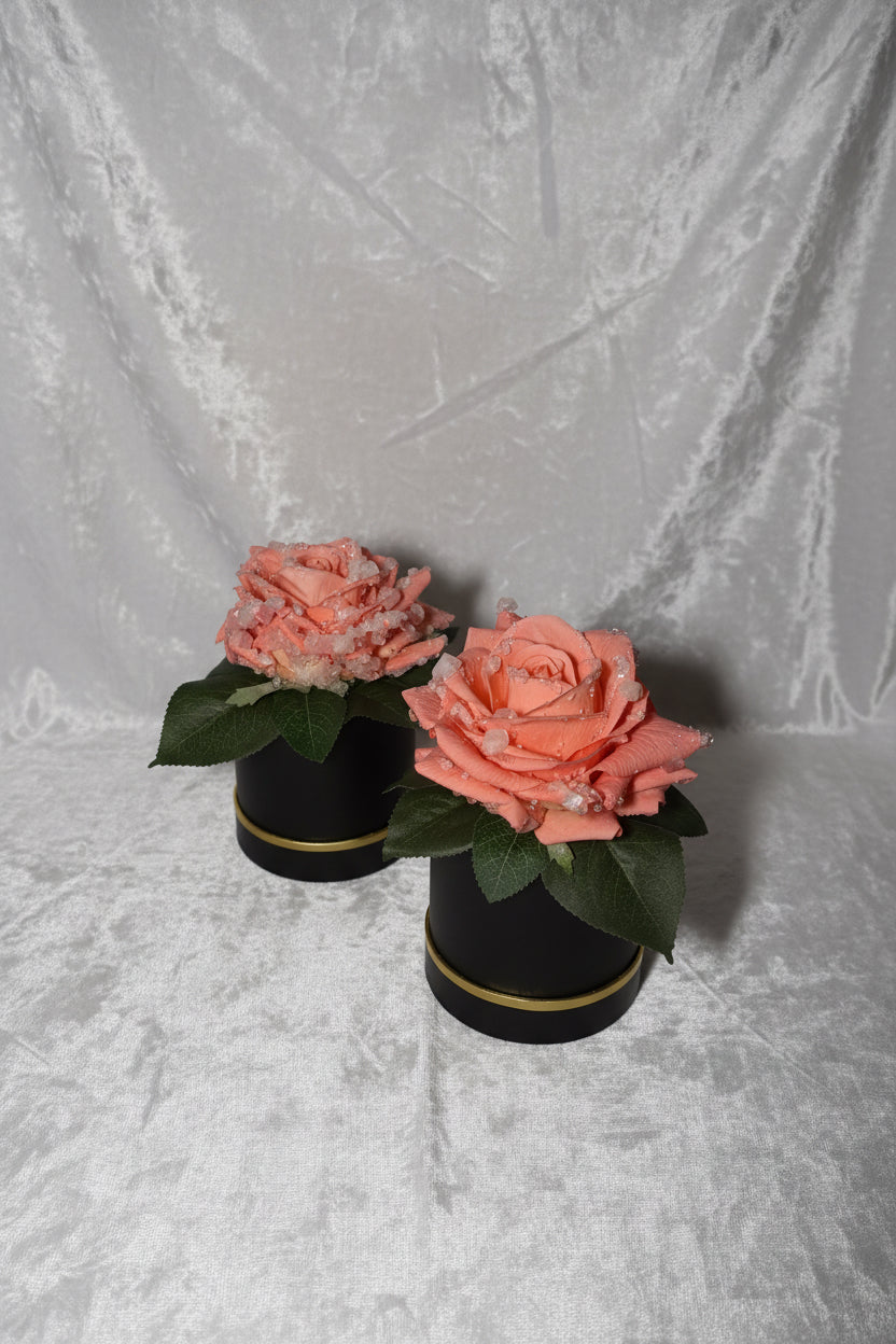 Everbloom pink