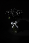 Morning Dew (black roses)