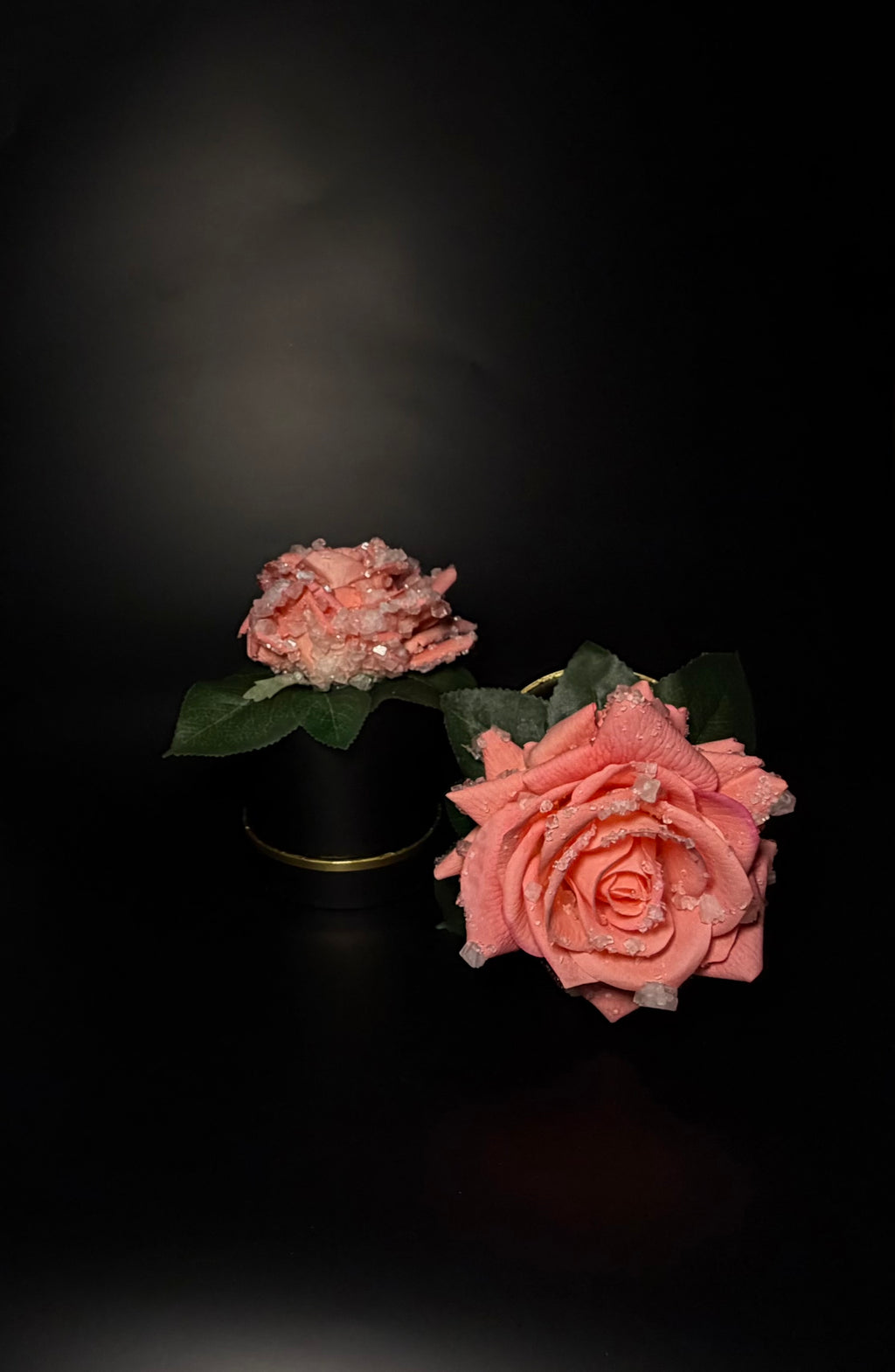 Everbloom pink