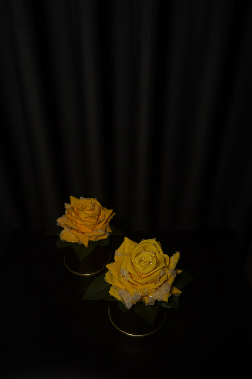 Everbloom yellow