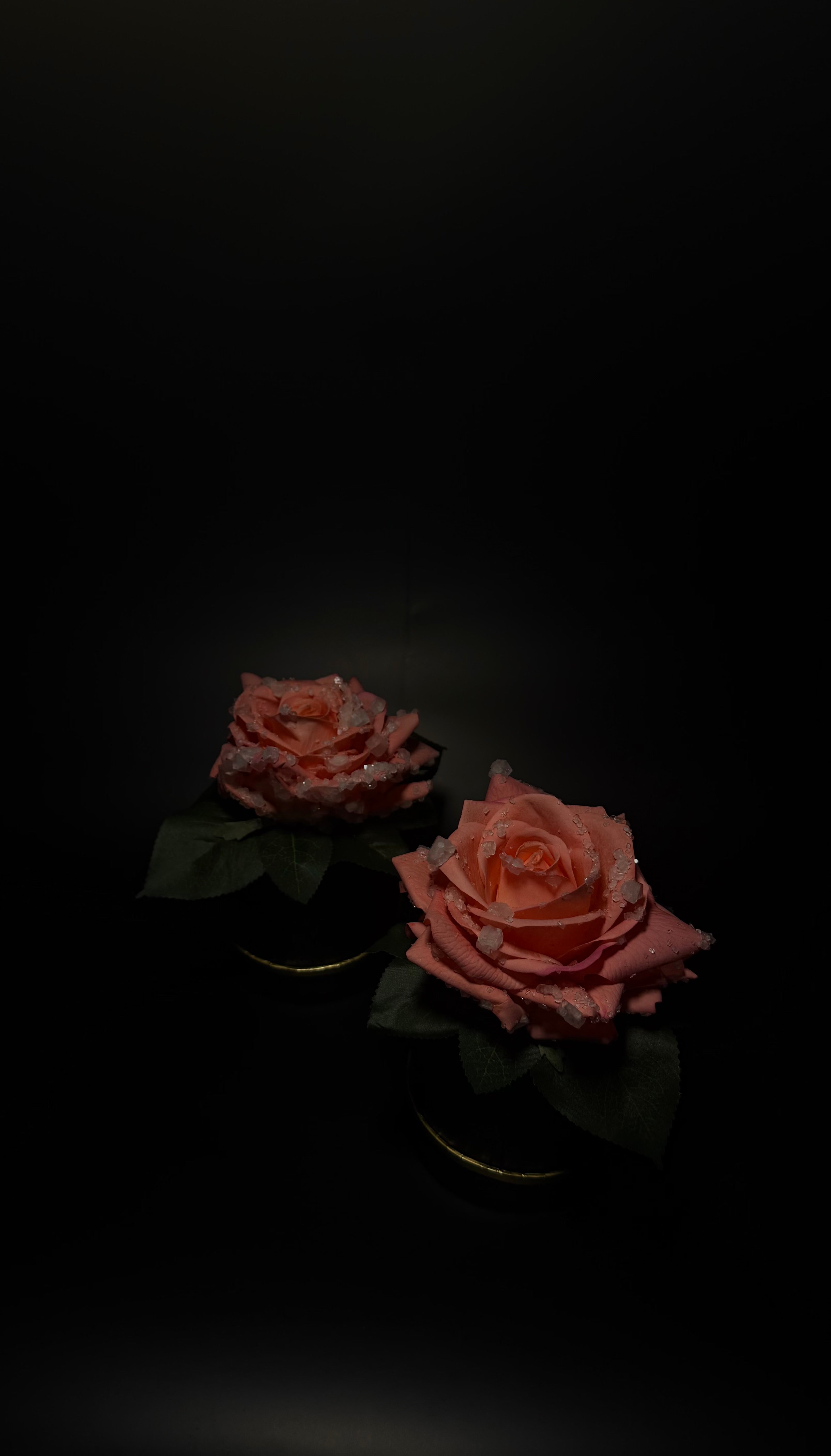 Everbloom pink
