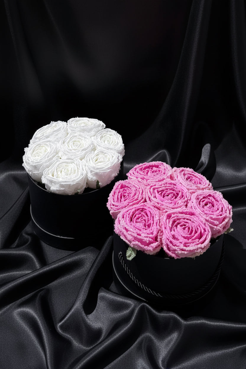 Two black round containers with white and pink preserved roses on a dark background