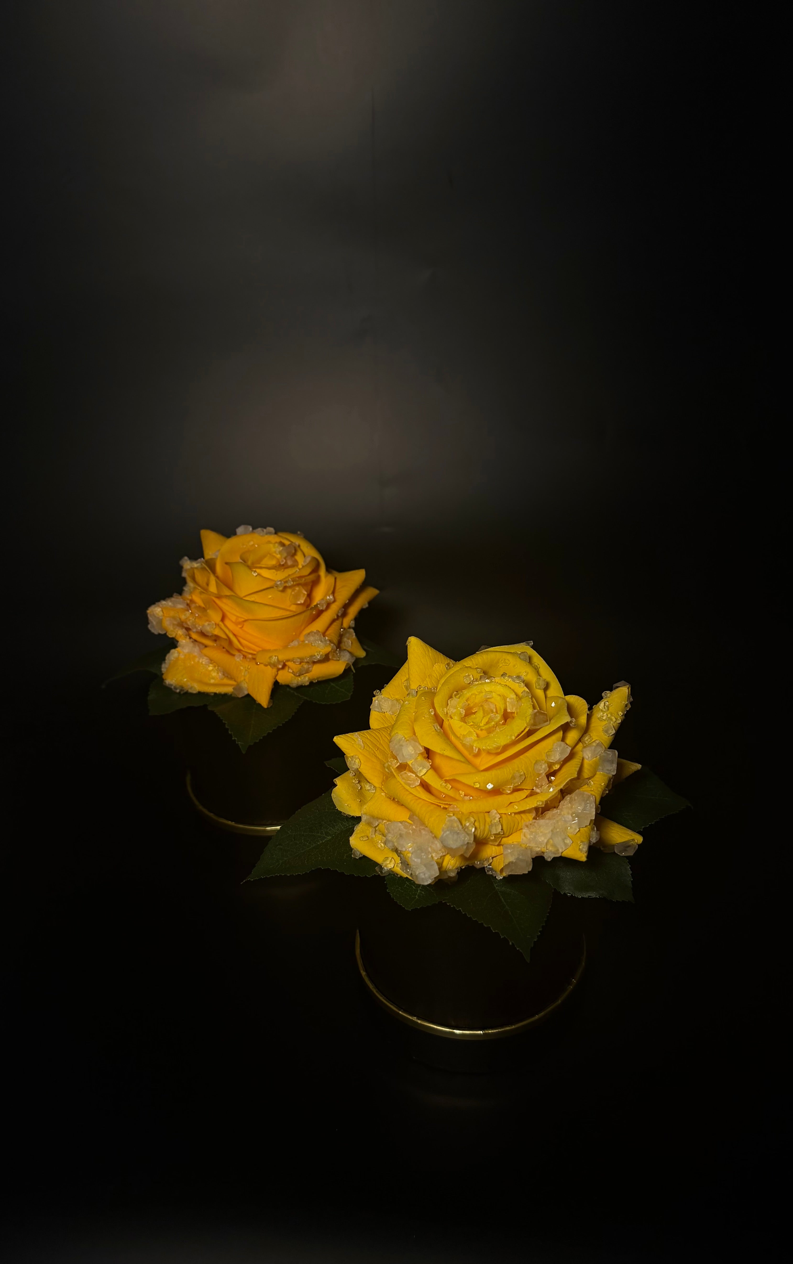 Everbloom yellow