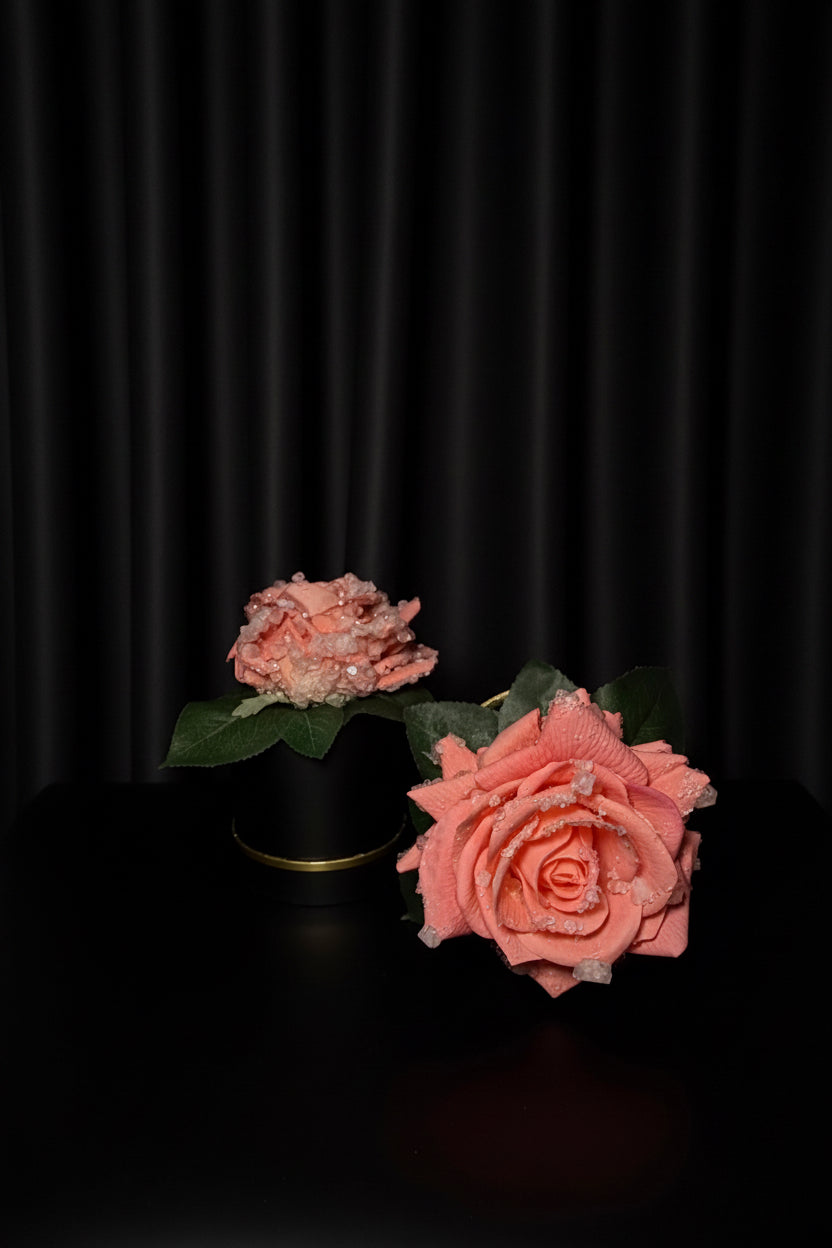 Everbloom pink