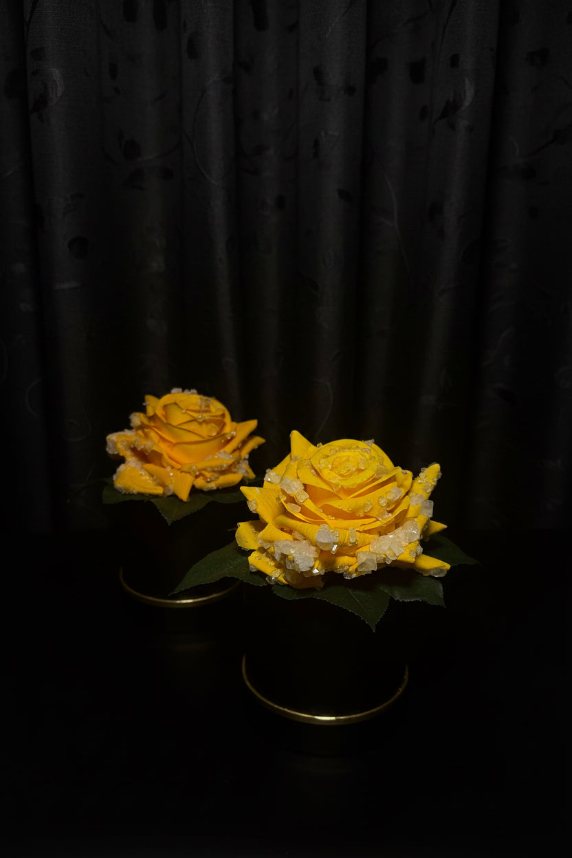 Everbloom yellow