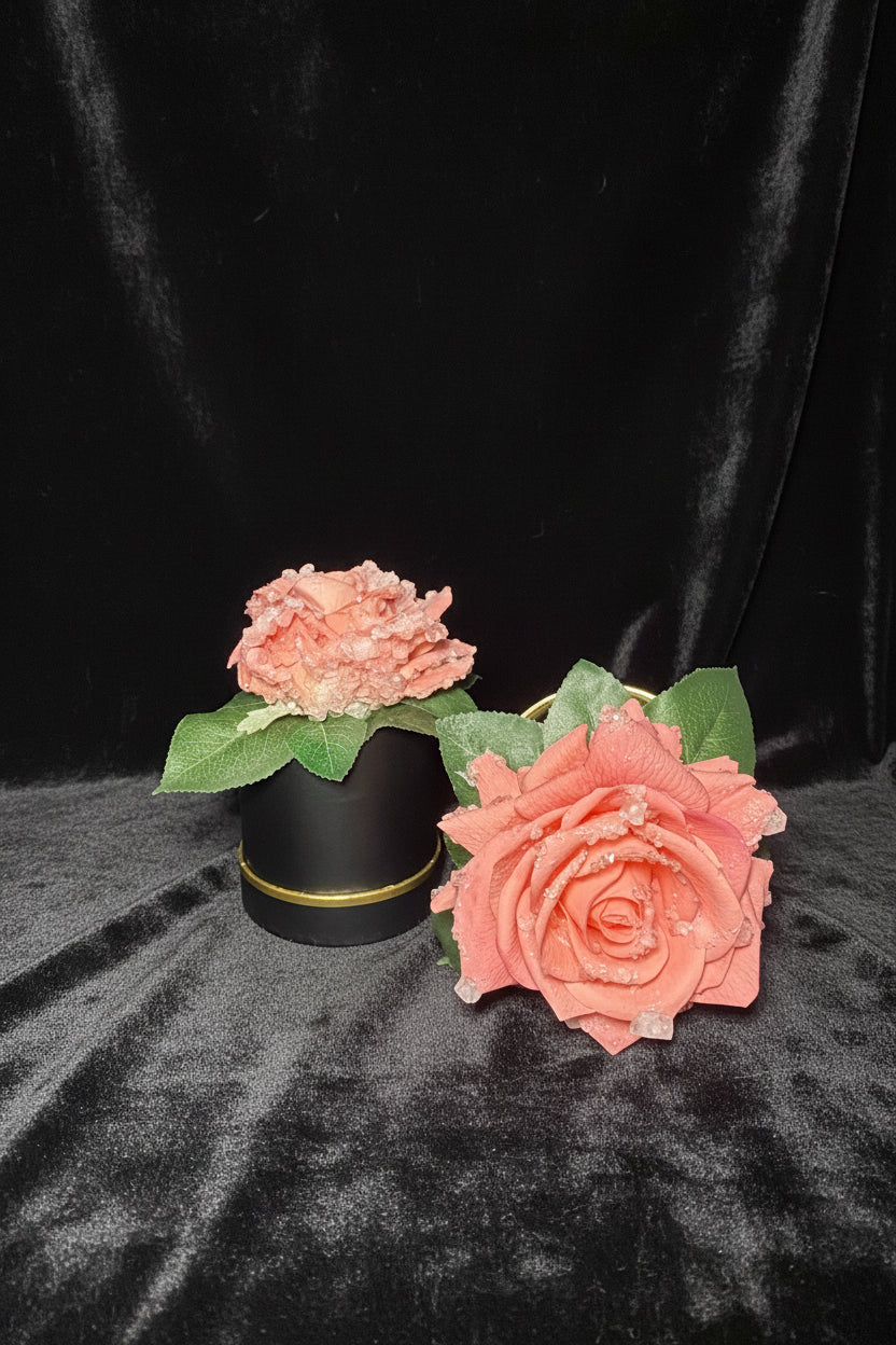 Everbloom pink