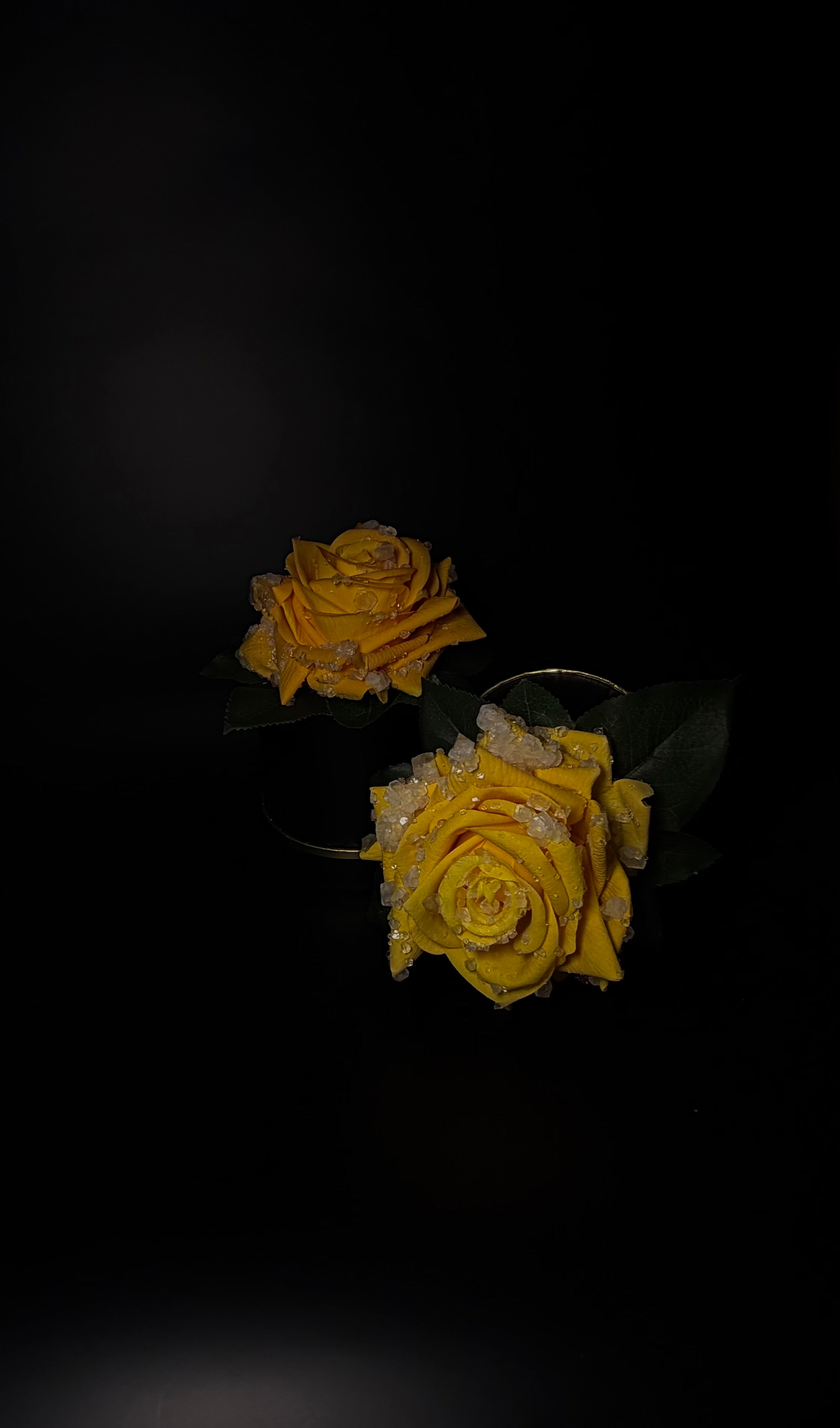 Everbloom yellow