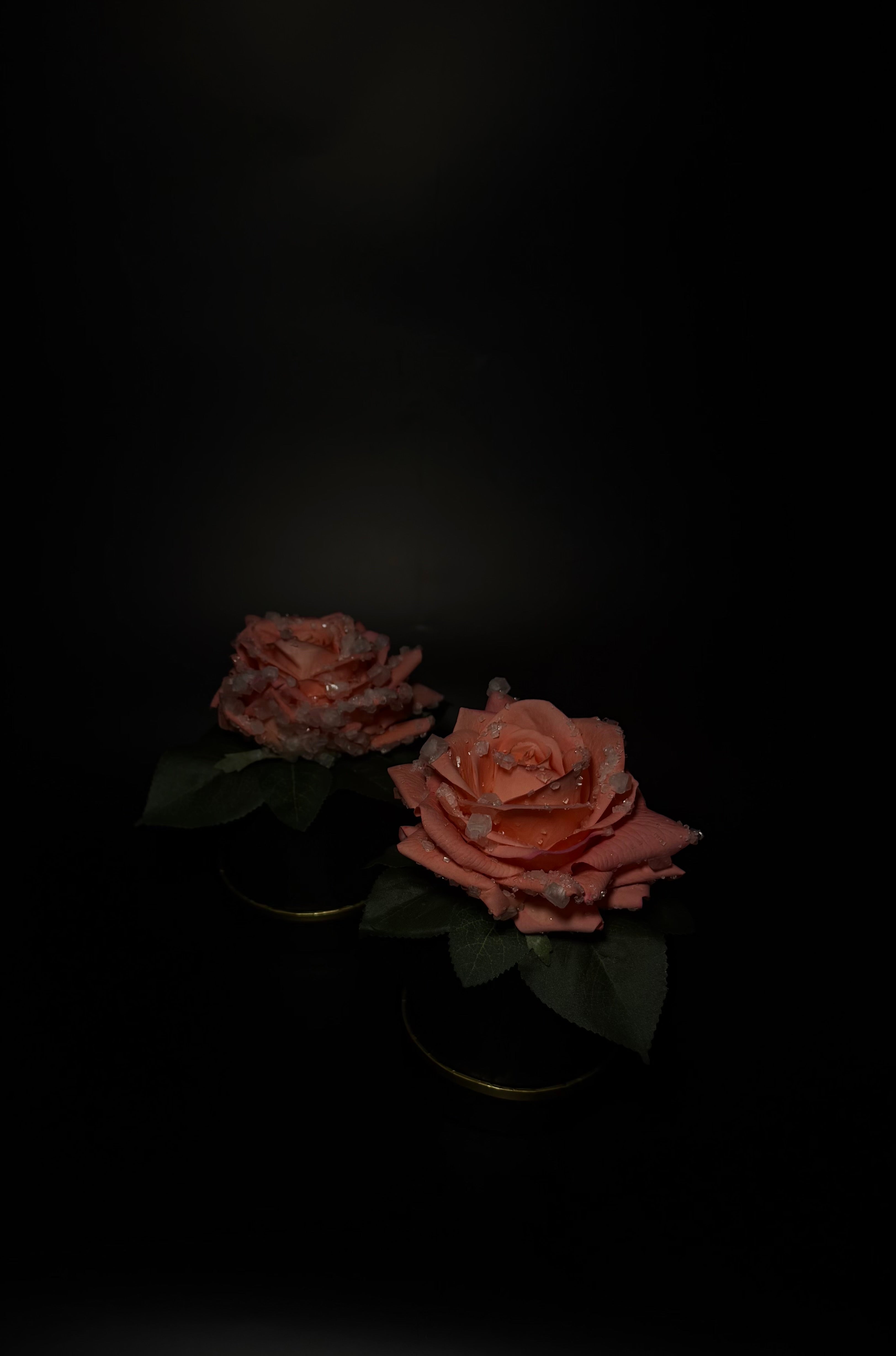 Everbloom pink