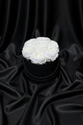 White roses in a black box on a black background